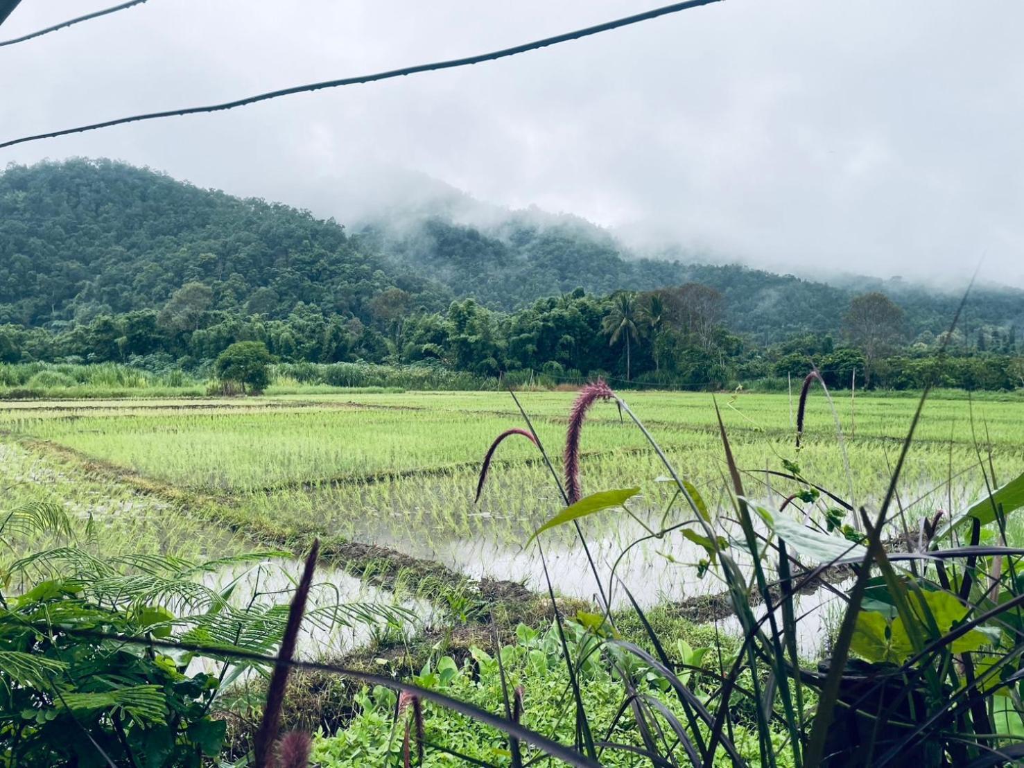 บ้านสวนวิวทุ่ง Ban Mae Sap Nua Экстерьер фото