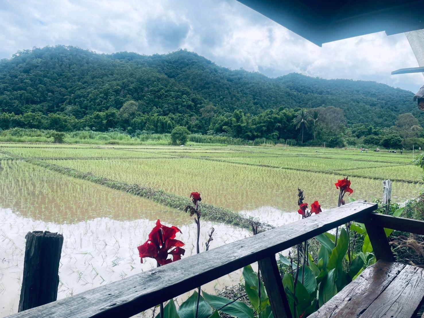 บ้านสวนวิวทุ่ง Ban Mae Sap Nua Экстерьер фото
